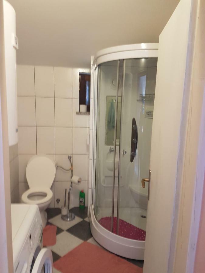 Apartman Vil Lejlighed Sveti Vid-Miholjice Eksteriør billede